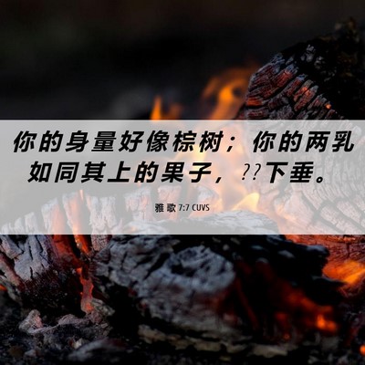 Picture 06 - 雅 歌 7:7 CUVS - 你 的 身 量 好 像 棕 树 ； 你 的 两 - Bible Verse Picture