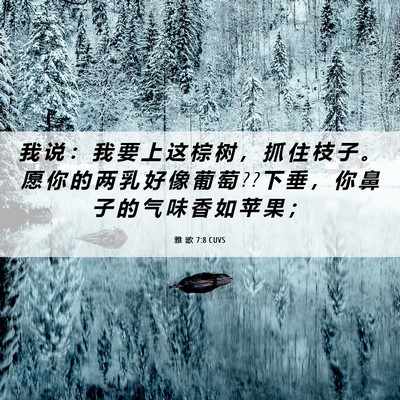 Picture 06 - 雅 歌 7:8 CUVS - 我 说 ： 我 要 上 这 棕 树 ， 抓 住 - Bible Verse Picture