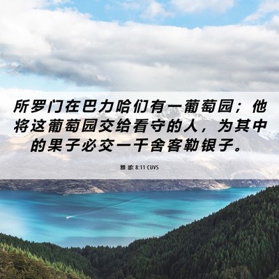 Picture 06 - 雅 歌 8:11 CUVS - 所 罗 门 在 巴 力 哈 们 有 一 葡 萄 - Bible Verse Picture