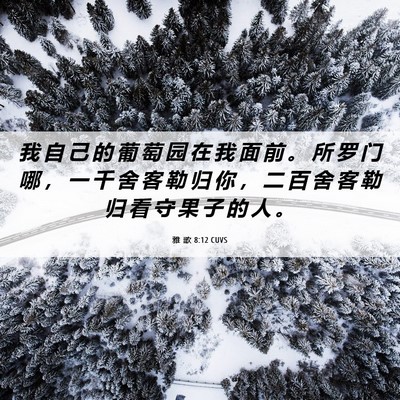 Picture 06 - 雅 歌 8:12 CUVS - 我 自 己 的 葡 萄 园 在 我 面 前 。 - Bible Verse Picture
