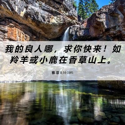 Picture 06 - 雅 歌 8:14 CUVS - 我 的 良 人 哪 ， 求 你 快 来 ！ 如 - Bible Verse Picture