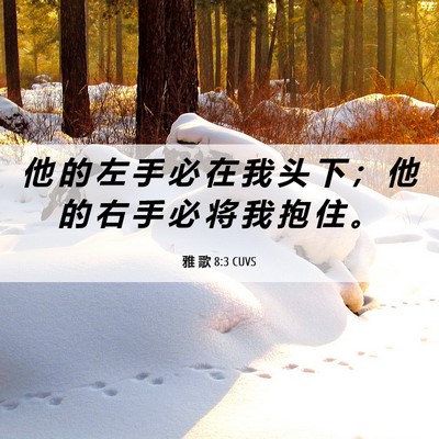 Picture 06 - 雅 歌 8:3 CUVS - 他 的 左 手 必 在 我 头 下 ； 他 的 - Bible Verse Picture