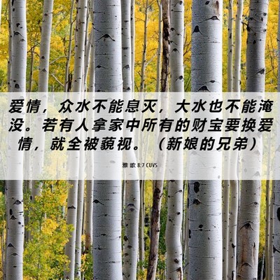 Picture 06 - 雅 歌 8:7 CUVS - 爱 情 ， 众 水 不 能 息 灭 ， 大 水 - Bible Verse Picture