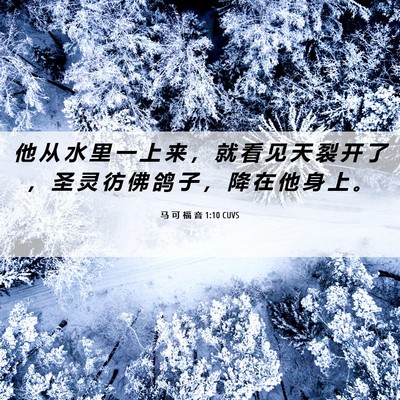 Picture 06 - 马 可 福 音 1:10 CUVS - 他 从 水 里 一 上 来 ， 就 看 见 天 - Bible Verse Picture