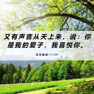 Picture 06 - 马 可 福 音 1:11 CUVS - 又 有 声 音 从 天 上 来 ， 说 ： 你 - Bible Verse Picture