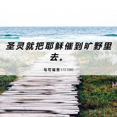 Picture 06 - 马 可 福 音 1:12 CUVS - 圣 灵 就 把 耶 稣 催 到 旷 野 里 去 - Bible Verse Picture
