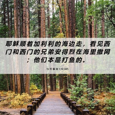 Picture 06 - 马 可 福 音 1:16 CUVS - 耶 稣 顺 着 加 利 利 的 海 边 走 ， - Bible Verse Picture