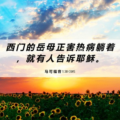 Picture 06 - 马 可 福 音 1:30 CUVS - 西 门 的 岳 母 正 害 热 病 躺 着 ， - Bible Verse Picture