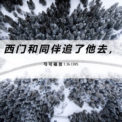 Picture 06 - 马 可 福 音 1:36 CUVS - 西 门 和 同 伴 追 了 他 去 - Bible Verse Picture