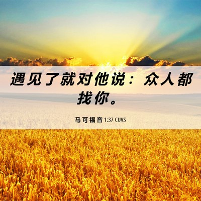 Picture 06 - 马 可 福 音 1:37 CUVS - 遇 见 了 就 对 他 说 ： 众 人 都 找 - Bible Verse Picture
