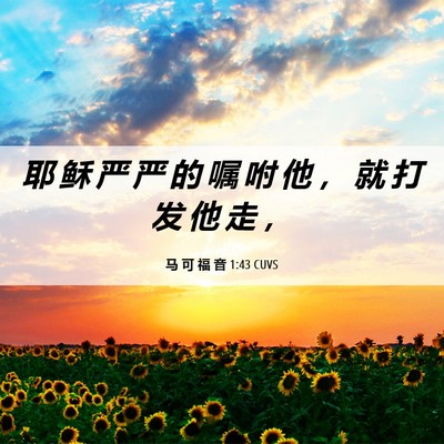 Picture 06 - 马 可 福 音 1:43 CUVS - 耶 稣 严 严 的 嘱 咐 他 ， 就 打 发 - Bible Verse Picture