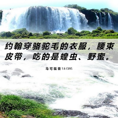 Picture 06 - 马 可 福 音 1:6 CUVS - 约 翰 穿 骆 驼 毛 的 衣 服 ， 腰 束 - Bible Verse Picture