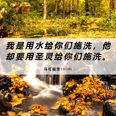 Picture 06 - 马 可 福 音 1:8 CUVS - 我 是 用 水 给 你 们 施 洗 ， 他 却 - Bible Verse Picture