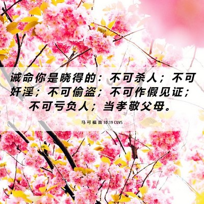 Picture 06 - 马 可 福 音 10:19 CUVS - 诫 命 你 是 晓 得 的 ： 不 可 杀 人 - Bible Verse Picture