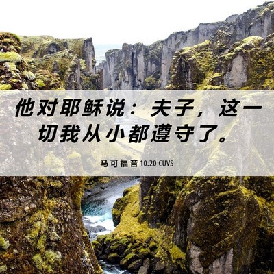 Picture 06 - 马 可 福 音 10:20 CUVS - 他 对 耶 稣 说 ： 夫 子 ， 这 一 切 - Bible Verse Picture