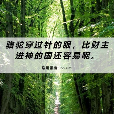 Picture 06 - 马 可 福 音 10:25 CUVS - 骆 驼 穿 过 针 的 眼 ， 比 财 主 进 - Bible Verse Picture