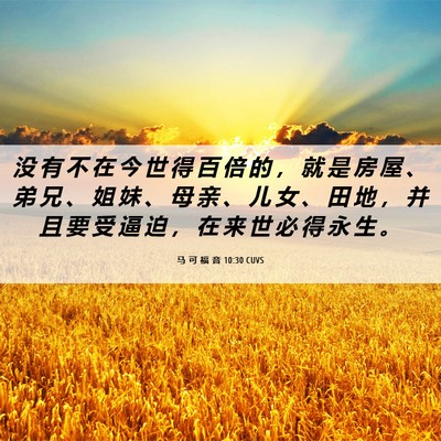 Picture 06 - 马 可 福 音 10:30 CUVS - 没 有 不 在 今 世 得 百 倍 的 ， 就 - Bible Verse Picture