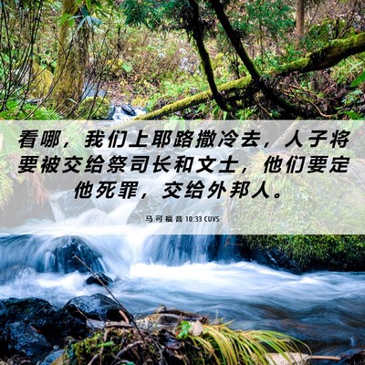 Picture 06 - 马 可 福 音 10:33 CUVS - 看 哪 ， 我 们 上 耶 路 撒 冷 去 ， - Bible Verse Picture