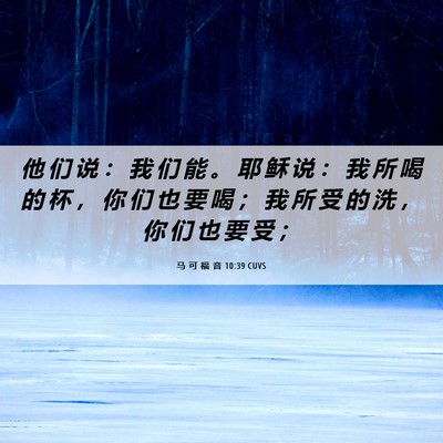 Picture 06 - 马 可 福 音 10:39 CUVS - 他 们 说 ： 我 们 能 。 耶 稣 说 ： - Bible Verse Picture