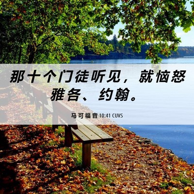 Picture 06 - 马 可 福 音 10:41 CUVS - 那 十 个 门 徒 听 见 ， 就 恼 怒 雅 - Bible Verse Picture