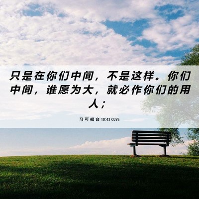 Picture 06 - 马 可 福 音 10:43 CUVS - 只 是 在 你 们 中 间 ， 不 是 这 样 - Bible Verse Picture