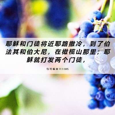 Picture 06 - 马 可 福 音 11:1 CUVS - 耶 稣 和 门 徒 将 近 耶 路 撒 冷 ， - Bible Verse Picture