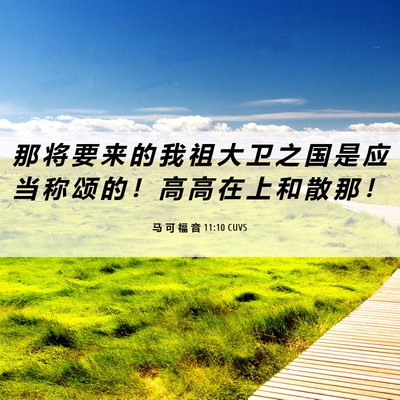 Picture 06 - 马 可 福 音 11:10 CUVS - 那 将 要 来 的 我 祖 大 卫 之 国 是 - Bible Verse Picture