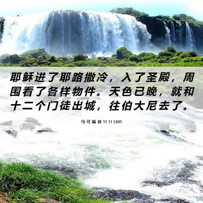 Picture 06 - 马 可 福 音 11:11 CUVS - 耶 稣 进 了 耶 路 撒 冷 ， 入 了 圣 - Bible Verse Picture