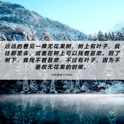 Picture 06 - 马 可 福 音 11:13 CUVS - 远 远 的 看 见 一 棵 无 花 果 树 ， - Bible Verse Picture