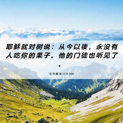 Picture 06 - 马 可 福 音 11:14 CUVS - 耶 稣 就 对 树 说 ： 从 今 以 後 ， - Bible Verse Picture