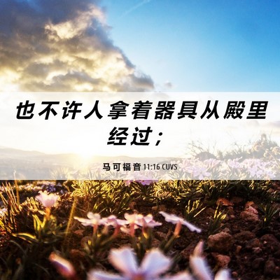 Picture 06 - 马 可 福 音 11:16 CUVS - 也 不 许 人 拿 着 器 具 从 殿 里 经 - Bible Verse Picture