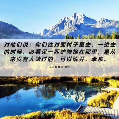 Picture 06 - 马 可 福 音 11:2 CUVS - 对 他 们 说 ： 你 们 往 对 面 村 子 - Bible Verse Picture
