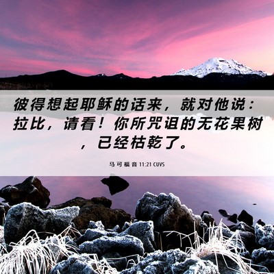 Picture 06 - 马 可 福 音 11:21 CUVS - 彼 得 想 起 耶 稣 的 话 来 ， 就 对 - Bible Verse Picture