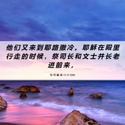 Picture 06 - 马 可 福 音 11:27 CUVS - 他 们 又 来 到 耶 路 撒 冷 。 耶 稣 - Bible Verse Picture