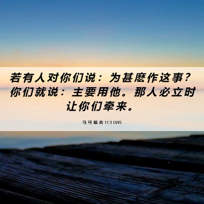 Picture 06 - 马 可 福 音 11:3 CUVS - 若 有 人 对 你 们 说 ： 为 甚 麽 作 - Bible Verse Picture