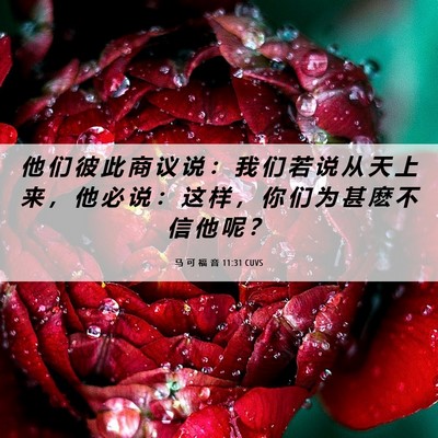 Picture 06 - 马 可 福 音 11:31 CUVS - 他 们 彼 此 商 议 说 ： 我 们 若 说 - Bible Verse Picture