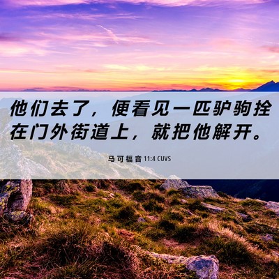 Picture 06 - 马 可 福 音 11:4 CUVS - 他 们 去 了 ， 便 看 见 一 匹 驴 驹 - Bible Verse Picture