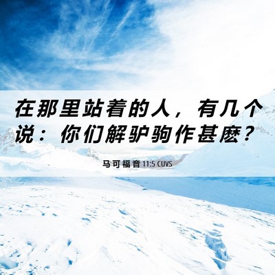 Picture 06 - 马 可 福 音 11:5 CUVS - 在 那 里 站 着 的 人 ， 有 几 个 说 - Bible Verse Picture