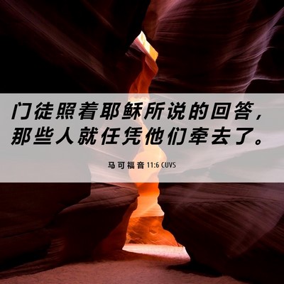 Picture 06 - 马 可 福 音 11:6 CUVS - 门 徒 照 着 耶 稣 所 说 的 回 答 ， - Bible Verse Picture