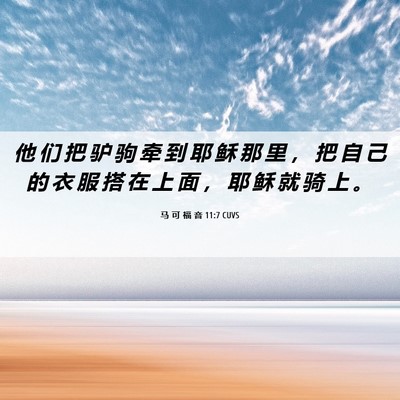 Picture 06 - 马 可 福 音 11:7 CUVS - 他 们 把 驴 驹 牵 到 耶 稣 那 里 ， - Bible Verse Picture