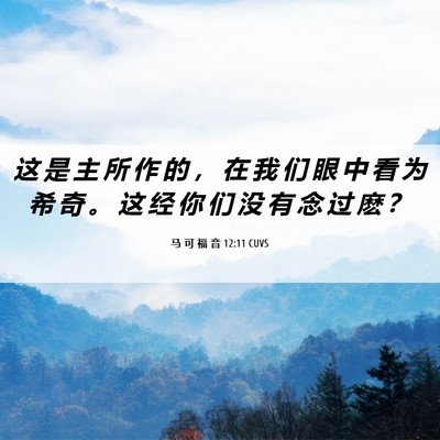 Picture 06 - 马 可 福 音 12:11 CUVS - 这 是 主 所 作 的 ， 在 我 们 眼 中 - Bible Verse Picture