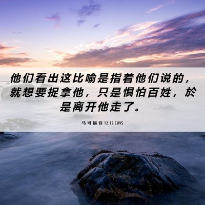 Picture 06 - 马 可 福 音 12:12 CUVS - 他 们 看 出 这 比 喻 是 指 着 他 们 - Bible Verse Picture