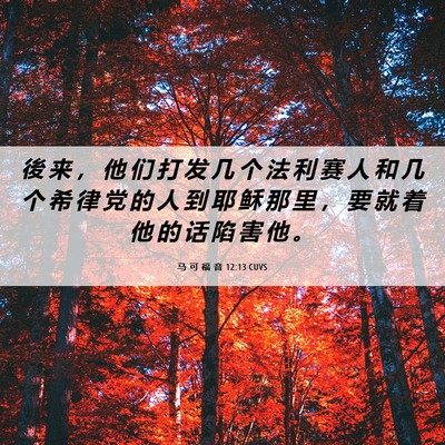Picture 06 - 马 可 福 音 12:13 CUVS - 後 来 ， 他 们 打 发 几 个 法 利 赛 - Bible Verse Picture