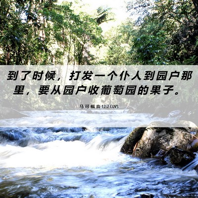 Picture 06 - 马 可 福 音 12:2 CUVS - 到 了 时 候 ， 打 发 一 个 仆 人 到 - Bible Verse Picture