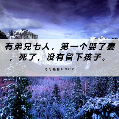 Picture 06 - 马 可 福 音 12:20 CUVS - 有 弟 兄 七 人 ， 第 一 个 娶 了 妻 - Bible Verse Picture
