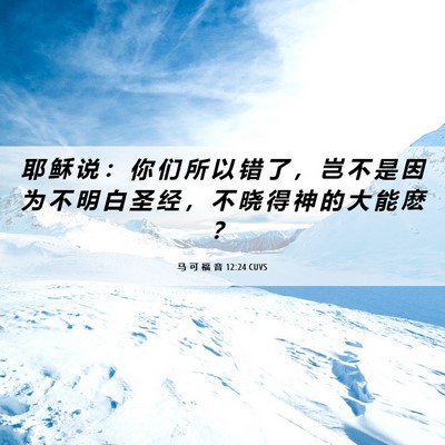 Picture 06 - 马 可 福 音 12:24 CUVS - 耶 稣 说 ： 你 们 所 以 错 了 ， 岂 - Bible Verse Picture
