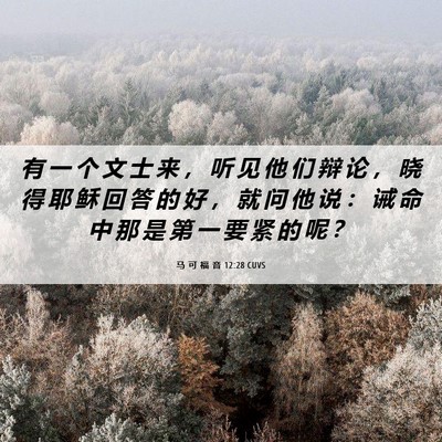 Picture 06 - 马 可 福 音 12:28 CUVS - 有 一 个 文 士 来 ， 听 见 他 们 辩 - Bible Verse Picture