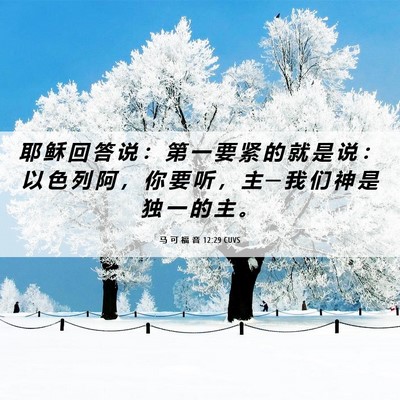 Picture 06 - 马 可 福 音 12:29 CUVS - 耶 稣 回 答 说 ： 第 一 要 紧 的 就 - Bible Verse Picture