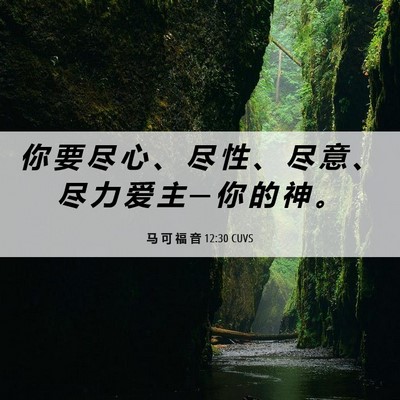 Picture 06 - 马 可 福 音 12:30 CUVS - 你 要 尽 心 、 尽 性 、 尽 意 、 尽 - Bible Verse Picture