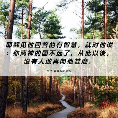 Picture 06 - 马 可 福 音 12:34 CUVS - 耶 稣 见 他 回 答 的 有 智 慧 ， 就 - Bible Verse Picture